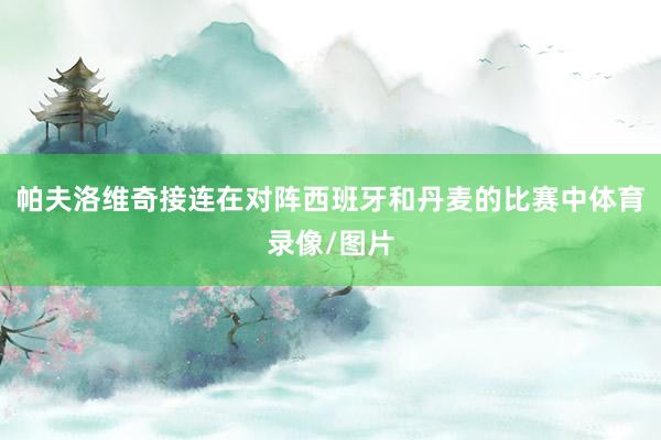 帕夫洛维奇接连在对阵西班牙和丹麦的比赛中体育录像/图片