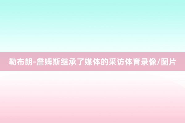 勒布朗-詹姆斯继承了媒体的采访体育录像/图片