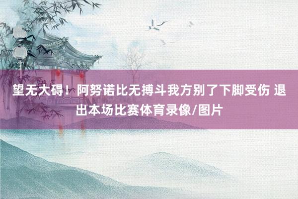 望无大碍！阿努诺比无搏斗我方别了下脚受伤 退出本场比赛体育录像/图片