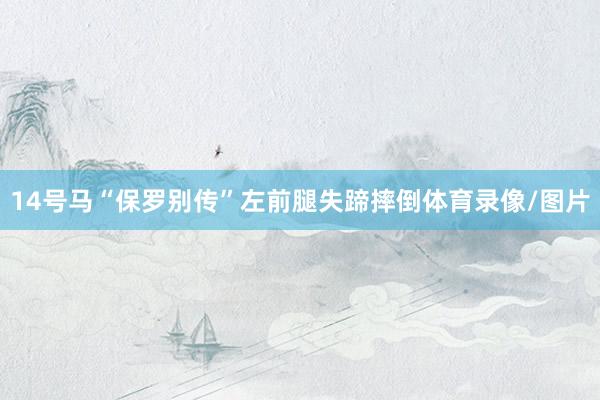 14号马“保罗别传”左前腿失蹄摔倒体育录像/图片