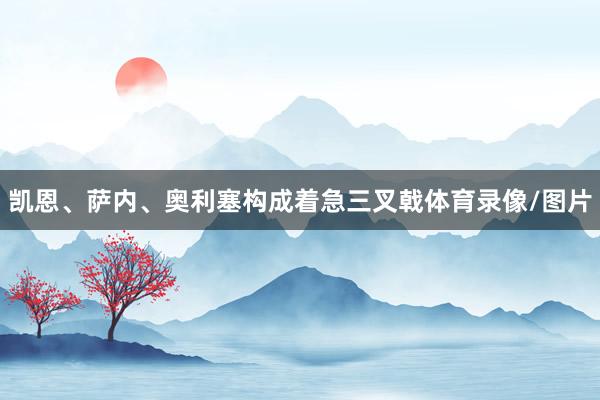 凯恩、萨内、奥利塞构成着急三叉戟体育录像/图片