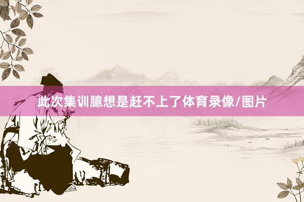 此次集训臆想是赶不上了体育录像/图片