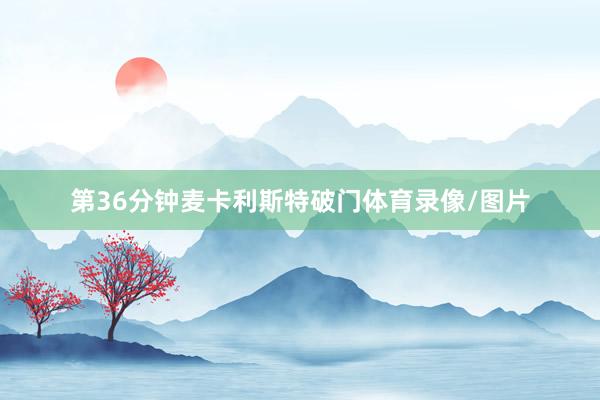第36分钟麦卡利斯特破门体育录像/图片