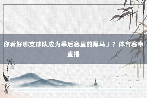 你看好哪支球队成为季后赛里的黑马♞？体育赛事直播
