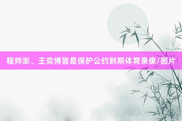程帅澎、王奕博皆是保护公约到期体育录像/图片