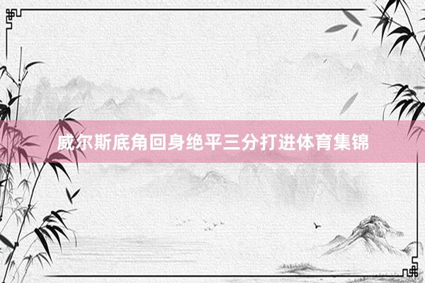 威尔斯底角回身绝平三分打进体育集锦