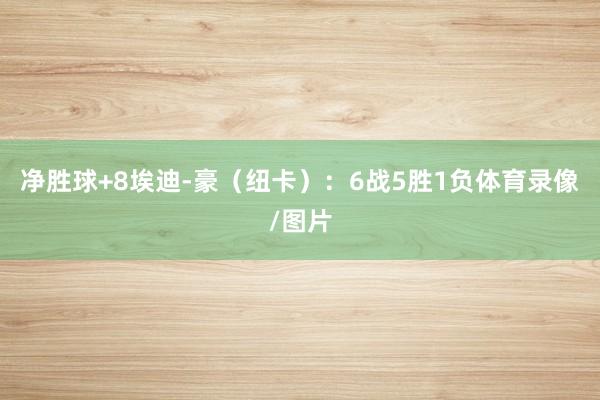净胜球+8埃迪-豪（纽卡）：6战5胜1负体育录像/图片