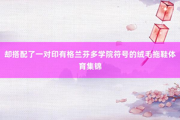 却搭配了一对印有格兰芬多学院符号的绒毛拖鞋体育集锦