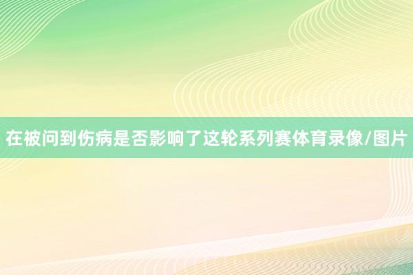 在被问到伤病是否影响了这轮系列赛体育录像/图片