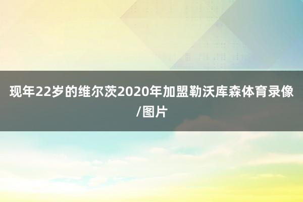 现年22岁的维尔茨2020年加盟勒沃库森体育录像/图片