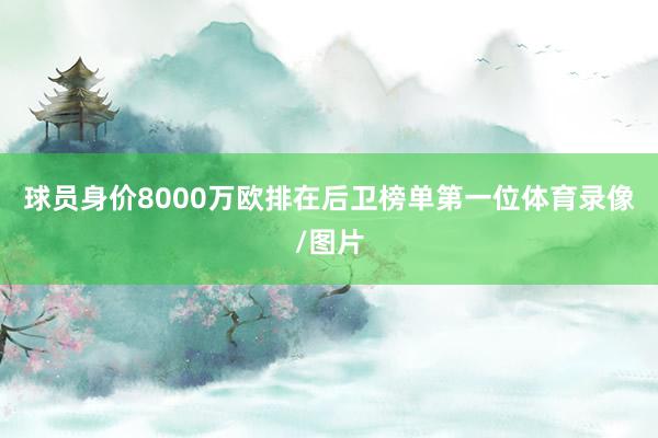 球员身价8000万欧排在后卫榜单第一位体育录像/图片