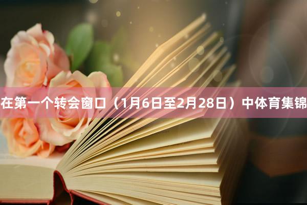 在第一个转会窗口（1月6日至2月28日）中体育集锦