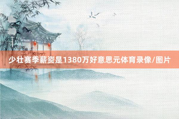少壮赛季薪资是1380万好意思元体育录像/图片