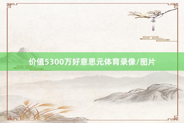 价值5300万好意思元体育录像/图片