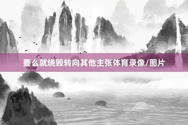 要么就烧毁转向其他主张体育录像/图片