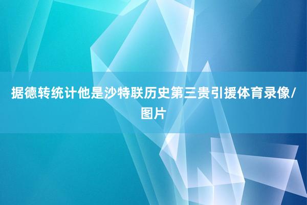 据德转统计他是沙特联历史第三贵引援体育录像/图片