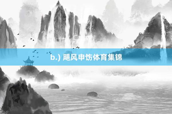 b.) 飓风申饬体育集锦
