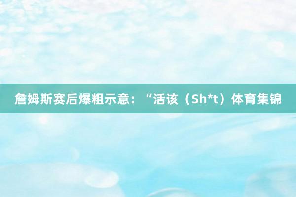 詹姆斯赛后爆粗示意：“活该（Sh*t）体育集锦
